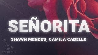 Shawn Mendes and Camila Cabello – Señorita Lyrics [upl. by Oilicec]