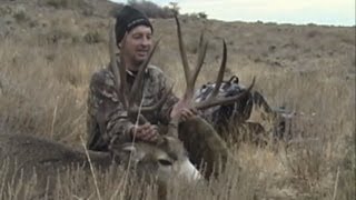 Idaho Mule Deer Super Tag 210 BampC Buck  MossBack [upl. by Penni]