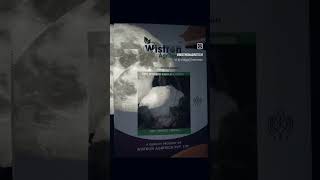 Wistron hybrid cauliflower seeds machine corncrop natural ho farming wistron ytshorts [upl. by Ahsiemat]