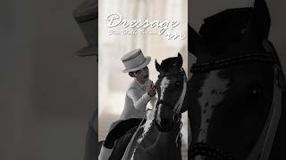 Le DRESSAGE sur STAR STABLE ONLINE ssofr sso starfam starstable starstableonline [upl. by Acirdna10]