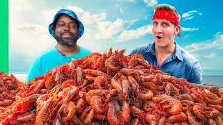 Catching 10000 Shrimp for Shrimp amp Grits [upl. by Doty742]