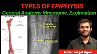 General Anatomy Types of Epiphysis  Mnemonic amp Explanation  Anatomy [upl. by Joell168]