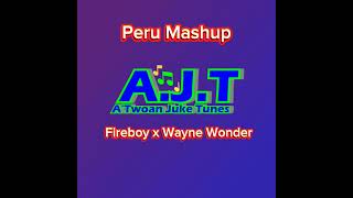 Fireboy Peru Mashup [upl. by Harmon724]