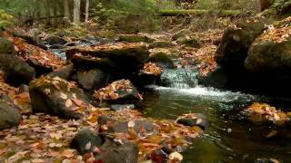 Autumn in the Adirondacks  VisitAdirondackscom [upl. by Noiroc]