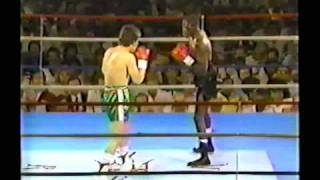 Julio Cesar Chavez  Roger Mayweather I 11 [upl. by Oidale155]