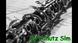 Sistem Clarinet Nebunie 2017  By Yonutz Slm [upl. by Anoif]