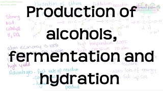 Production of Alcohols Fermentation and Hydration  Revision for Chemistry ALevel and IB [upl. by Blinni703]