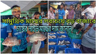 ফিশারী ঘাটে বর্তমানে চাষের লাইভ মাছের দাম কম। Fishery Ghat  Live FishChattogram [upl. by Dessma]