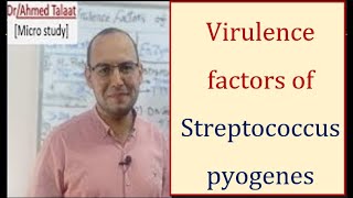 Streptococci 2 Virulence factors of Streptococcus pyogenes “Medical microbiologyquot [upl. by Grodin]