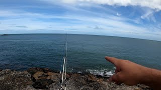 AMLWCH ROCK FISHING ANGLESEY PART 2 [upl. by Attelra]