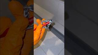 Plumber Excited To Clean Drains plumber shorts [upl. by Cohlier]