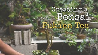 EP 9  Fukien Tea Bonsai  Carmona Retusa [upl. by Raji]