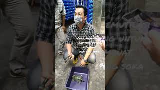 cara memutilasi kepiting untuk membuat kepiting soka [upl. by Oecile69]