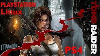 Linux PS4 vs PS4  Tomb Raider [upl. by Dnallor]