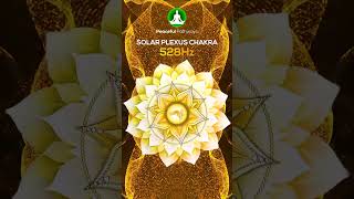 SOLAR PLEXUS CHAKRA  Awakening Our Strength Willpower Stamina  528Hz [upl. by Yadnil]