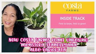 New Costa Farms Plant Unboxing  Monstera Standleyana AlboVariegata [upl. by Lindie]