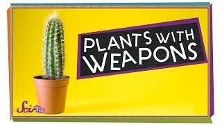 Plants with Weapons [upl. by Wilmer]