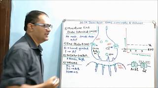 Neuromuscular Junction PartII  Some Concepts MEPP EPP etc and Values [upl. by Ettennek]