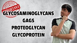 Biochemistry  Heteropolysaccharides  Glycosaminoglycans GAGs Proteoglycan Glycoprotein [upl. by Ingar464]