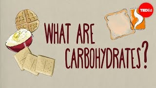 How do carbohydrates impact your health  Richard J Wood [upl. by Karb]