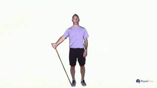 Shoulder Scaption with Resistance Band [upl. by Oberg246]