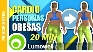 Cardio PARA PERSONAS OBESAS Y PRINCIPIANTES Para Quemar 250 Calorías  Ejercicios Para Sobrepeso [upl. by Fabrice391]