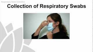 Respiratory Swab Collection  Part 2  Overview [upl. by Montford]