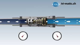 Funktion Druckminderer für Druckluft Werkzeuge und Automation ToolReg® [upl. by Norga368]