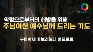 ✨저명한 구마사제님의 구마 기도문 악령으로부터의 해방을 위해 주님이신 예수님께 드리는 기도 [upl. by Siuqramed102]