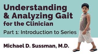 Understanding amp Analyzing Gait For The Clinician Part 01 Introduction To Series [upl. by Marlow]