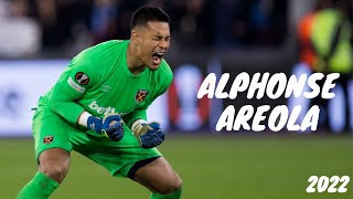 Alphonse Areola 20222023 ● Best Saves and Highlights ● HD [upl. by Call]