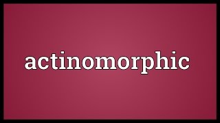 Actinomorphic Meaning [upl. by Sascha98]