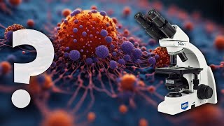 ¿Qué se ve REALMENTE a TRAVÉS de un MICROSCOPIO🔬🦠 [upl. by Boyes]