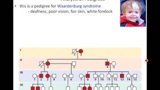 Lecture 8  Pedigrees and Genetic Testing [upl. by Ledba]