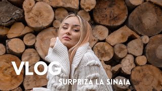 VLOG  Surpriza la Sinaia  Vesti noi din ultima vreme [upl. by Etneciv]