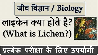 लाइकेन क्या है  What is Lichen in Hindi  जीव विज्ञान Biology  Science Gk in Hindi [upl. by Enal]