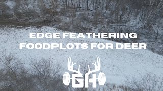 Whitetail Strategy  Edge Feathering Food Plots  GUNNAR HANSON [upl. by Arraic519]