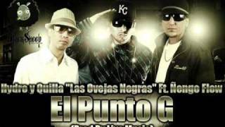 Las Ovejas Negras Ft Ñengo Flow  Punto G [upl. by Fachanan558]