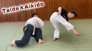 Aikido Master learns Kick of Taido quotMANJI KICKquot 【Taido】 [upl. by Proudfoot276]