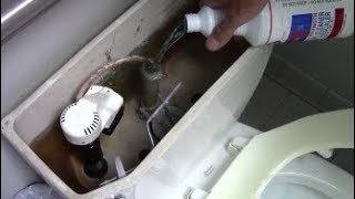 Slow Flushing Toilet Quick and Inexpensive Cure With Delimer [upl. by Atsedom]