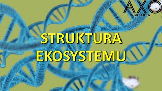 126 Struktura ekosystemu [upl. by Kcirdderf]