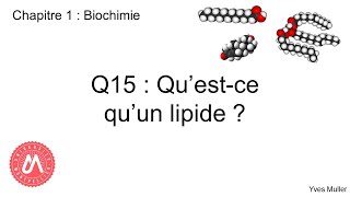 Chapitre 1  Biochimie  Q15  Questce quun lipide [upl. by Nraa]