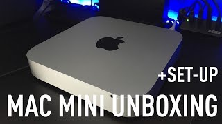 Mac Mini Unboxing amp SetUp [upl. by Dloraj]