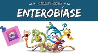 ENTEROBÍASE OXIURÍASE  PARASITOLOGIA 8 [upl. by Irallih]