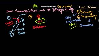 Virulence factors of bacteria [upl. by Finlay]