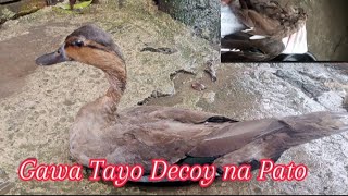 Tutorial sa Pag Gawa ng Pato [upl. by Annahoj]