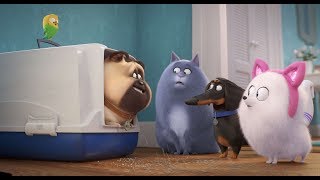 Comme Des Bêtes 2  Bande Annonce Officielle [upl. by Ocnarf]