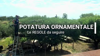 POTATURA ORNAMENTALE le regole da seguire [upl. by Tnecnev339]