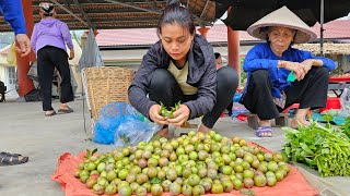 Harvesting Tam Hoa plums at the beginning of the season to sell [upl. by Asoramla]