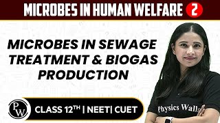 Microbes in Human Welfare 02  Microbes in Sewage Treatment amp Biogas Production  12thNEETCUET [upl. by Jasisa]